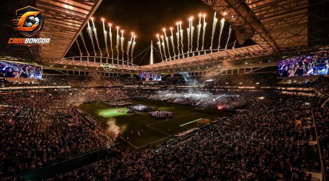 Công tác tổ chức chuyên nghiệp và các sân vận động tại Copa América.