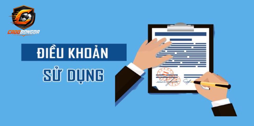 Điều khoản sử dụng là gì?