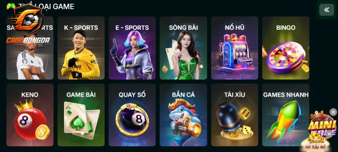 Sản phẩm cá cược hay chất lượng cao