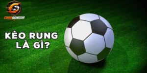 Các thông tin cần biết về kèo rung là gì trước khi chọn lựa