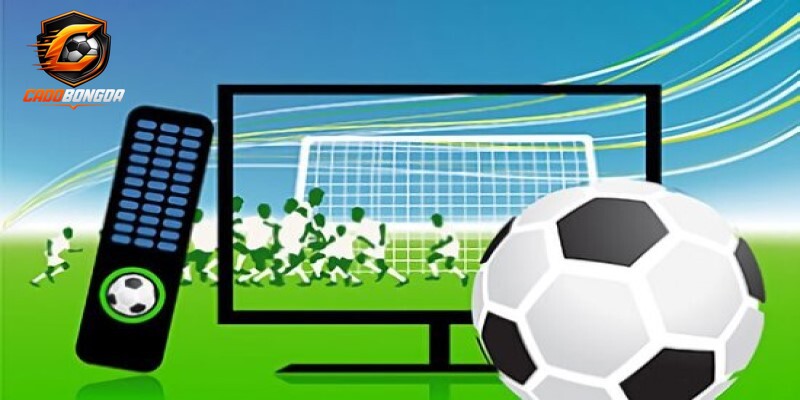 Tìm hiểu vai trò của kết quả bóng đá