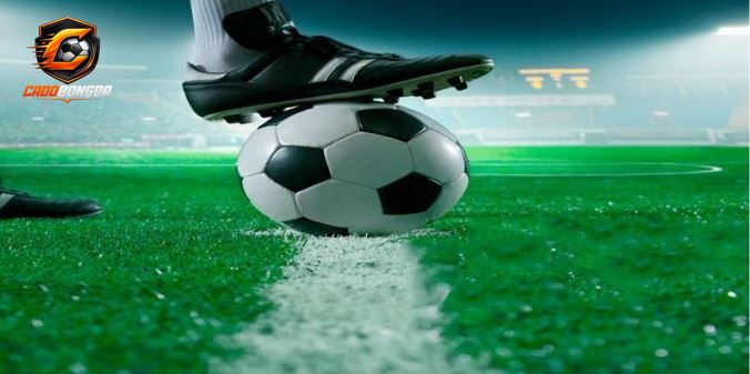 Kinh nghiệm cá cược Livescore hiểu quả